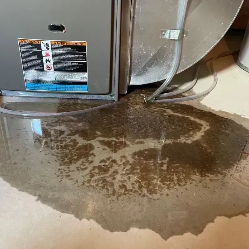 Appliance Leak Cleanup in Lombard, IL